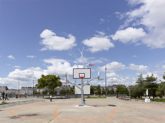 Basket_tree_2