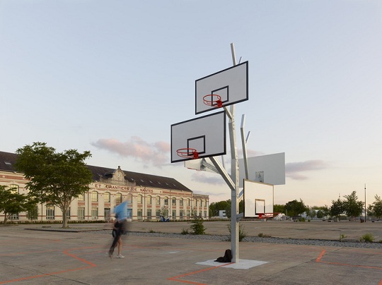 Basket_tree_3